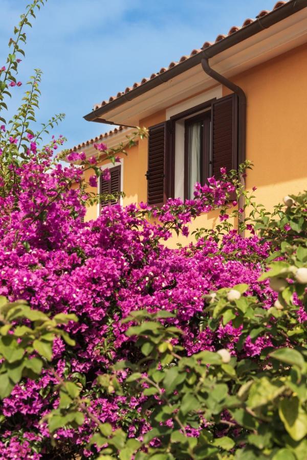 Residence Agrifoglio Monte Petrosu Zewnętrze zdjęcie