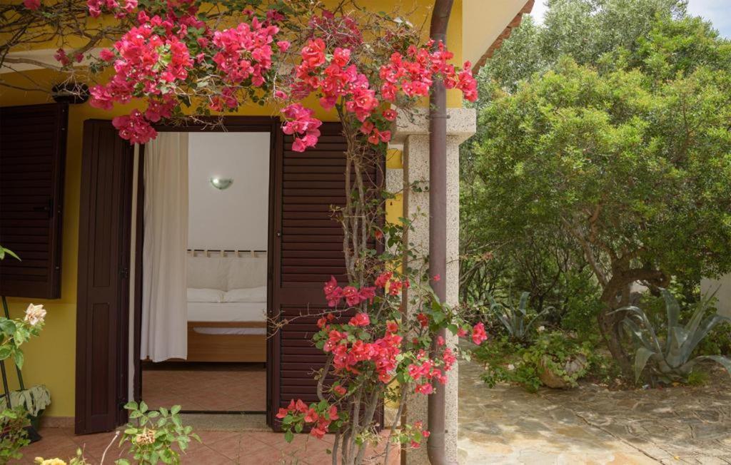 Residence Agrifoglio Monte Petrosu Zewnętrze zdjęcie